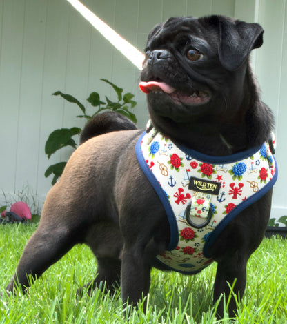 Adjustable no pull harness - Seaside Sniffs