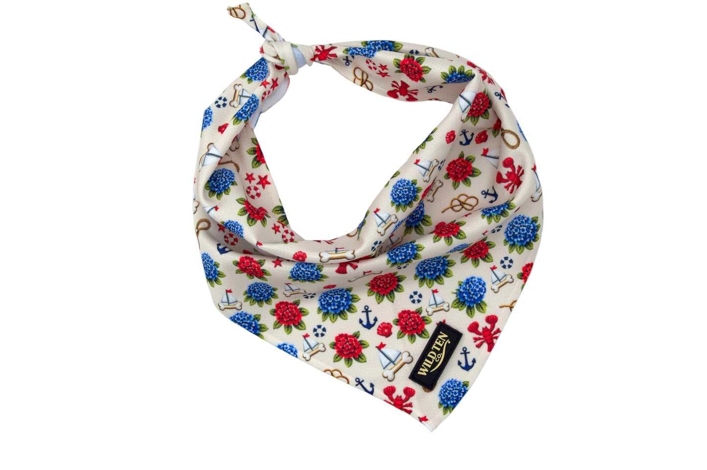 Signature Collar Walk Set + Bandana - Seaside Sniffs