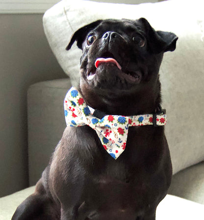 Signature Collar Walk Set + Bow Tie - Seaside Sniffs