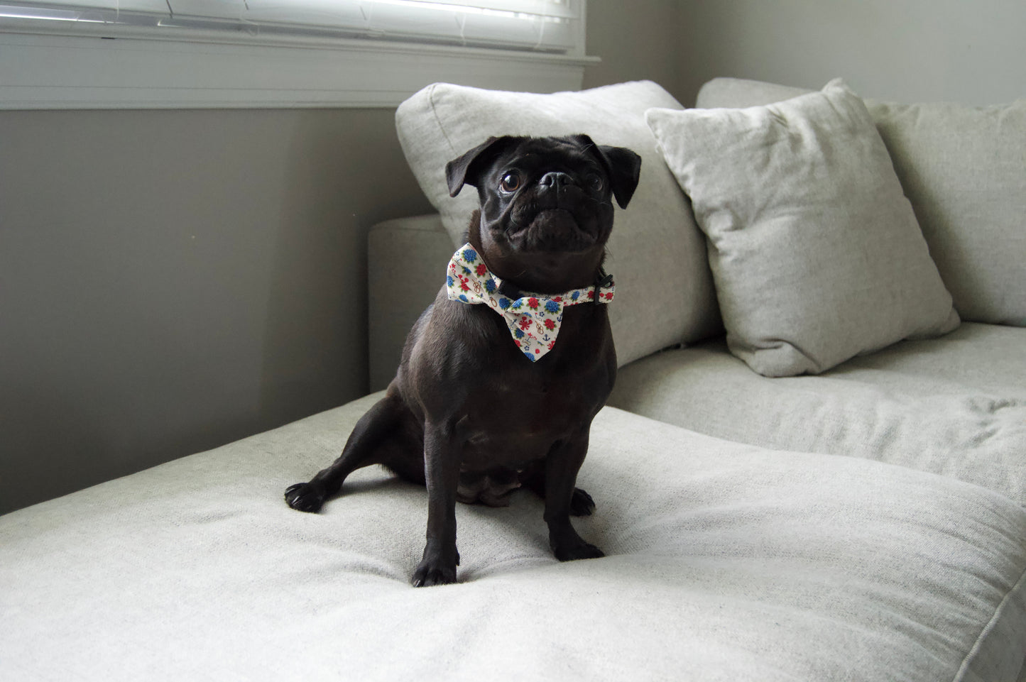 Seaside Sniffs - bow tie