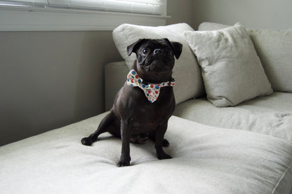 Seaside Sniffs - bow tie