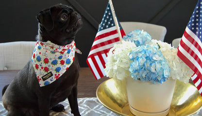 Stay cool bandana - Seaside Sniffs