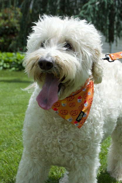 Signature Collar Walk Set + Bandana - Pretzels & Water ice