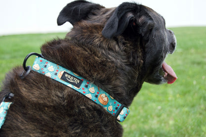 Savannah is wearing our signature collar in size Large