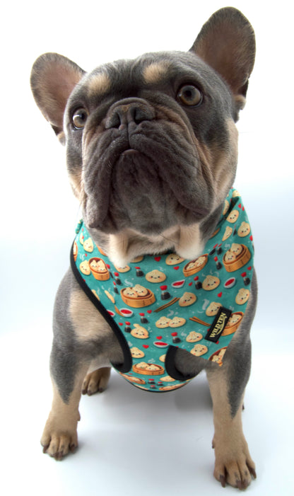 Signature Collar Walk Set + Bandana - Soy in Love