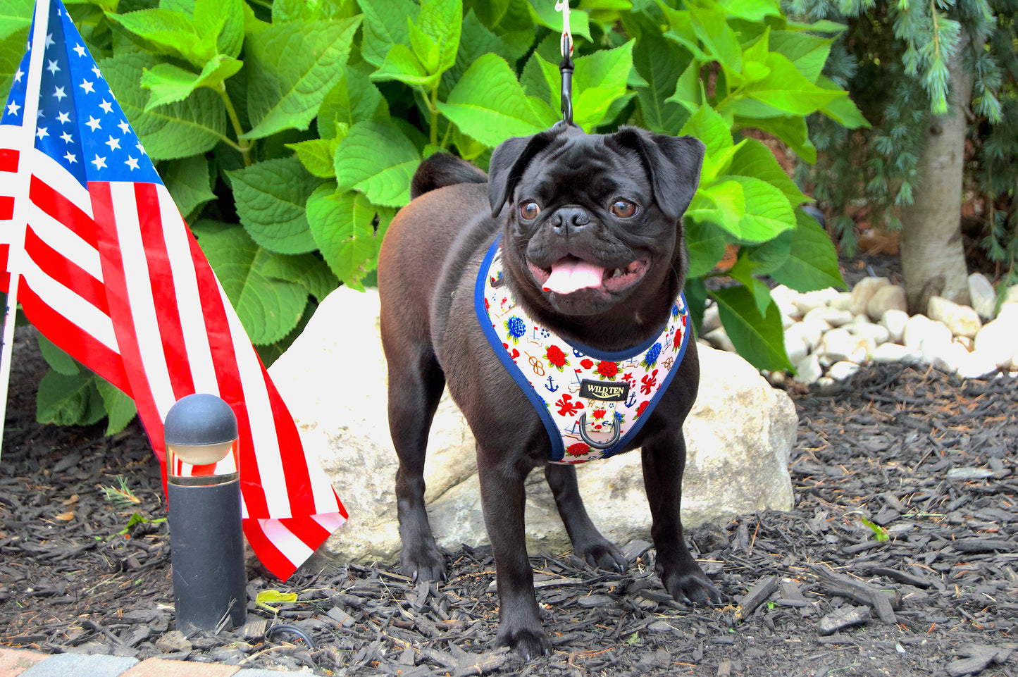 Adjustable no pull harness - Seaside Sniffs