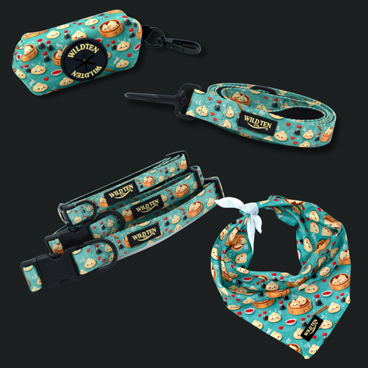 Signature Collar Walk Set + Bandana - Soy in Love